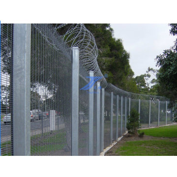 358 with Razor Wire Prison Fencing for High Security (TS-E51)